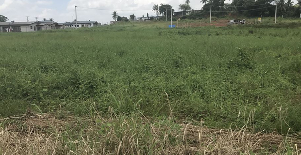 Individual who has attempted to sell land not issued development lease -TLTB