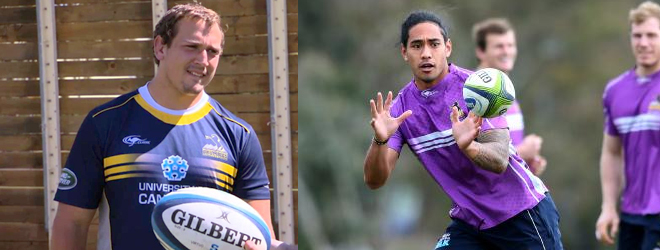 Brumbies teammates scuffle in training camp