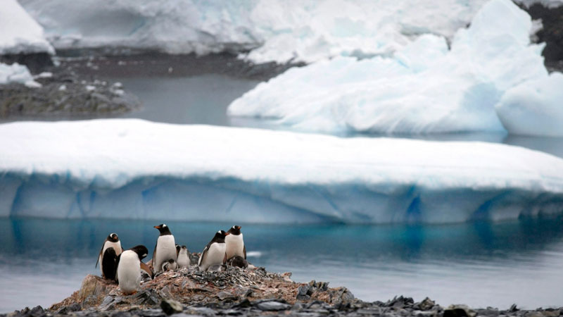 COVID-19 reaches the Antarctic continent