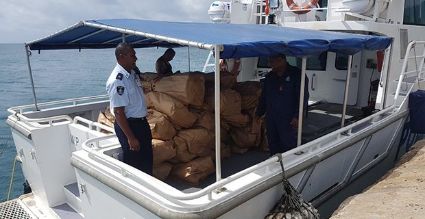 Police yet to determine owner of farm where 600kg of suspected marijuana was uprooted