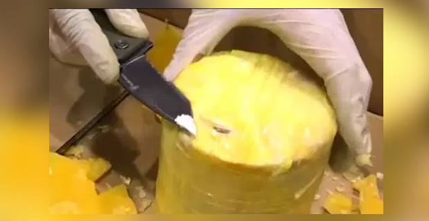 Police in Portugal and Spain seize cocaine hidden in pineapples