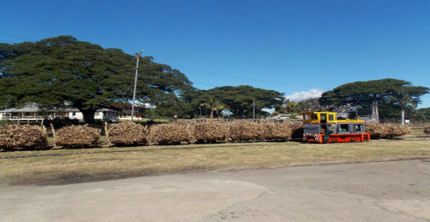 Cane Delivery Price increased and to be paid to growers in a month's time