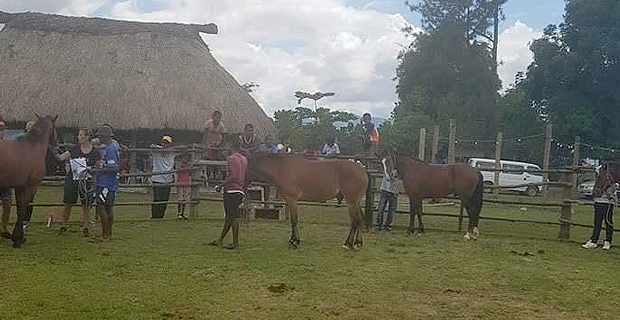 Sabeto horse race stopped due to rain