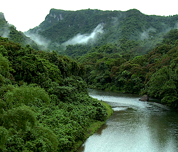 SODELPA confirms former SDL led govt did transfer i-Taukei land to state land