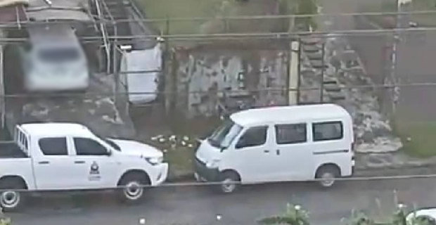 Dog allegedly thrown from the 2nd floor balcony of a house in Raiwai rescued by SPCA Fiji and Police