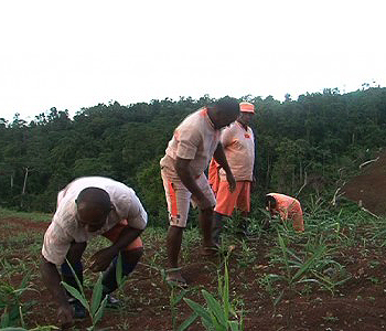 Mechanism in place for prisoners to lodge complaints