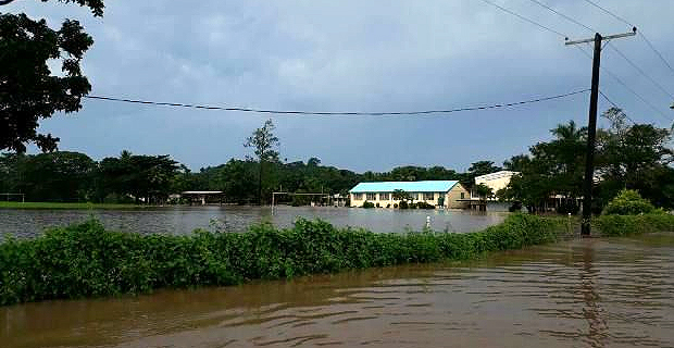 Some houses in Vunivesi Savusavu submerged in flood waters this morning