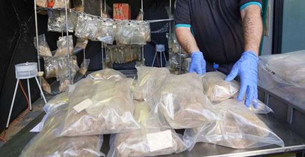 Six people arrested over drug seizures in Australia and NZ