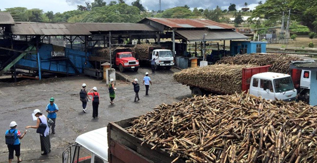 FSC pays out total of $24.7 million to 11,871 farmers in the fourth cane payment for the 2017 season