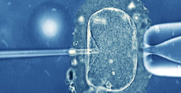 Baby born in China to a surrogate mother 4 years after his parents died in a car crash