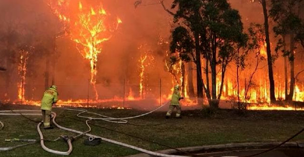 Hundreds of homes affected in South Sydney bush fires 