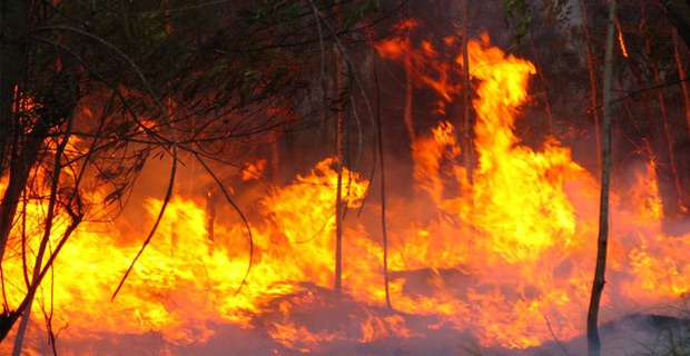 Australia fires: Strong winds hamper efforts to control flames
