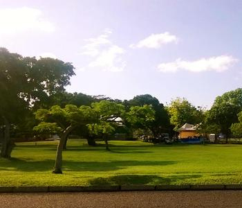 Lautoka High Court strikes out notice of motion regarding Shirley Park