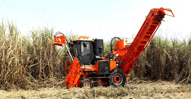 Man admitted in Labasa Hospital after suffering cuts to thumb while operating cane harvester in Labasa