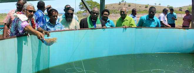 Qoliqoli rights owners to soon share proceeds from fishing licenses