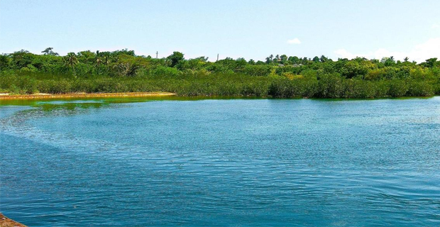 Search for man who went missing while swimming continues today