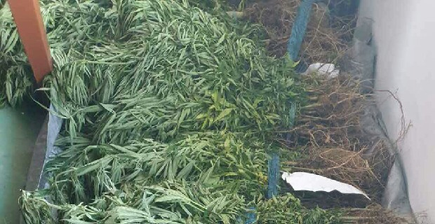 Investigators following leads on the owners of the four separate farms in Kadavu