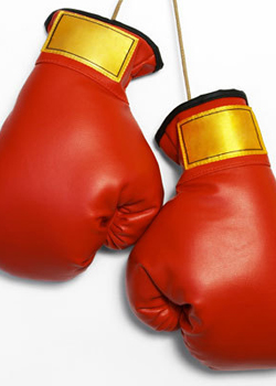 Ali wins by technical knockout over Qalomai