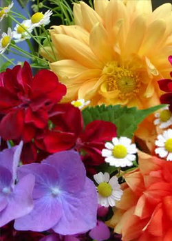 Hard work pays of for florist