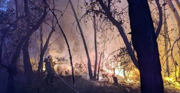Bushfires continue in NSW and Queensland in Australia 