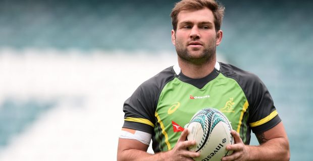 NSW Waratahs wait on Ben McCalman medical report