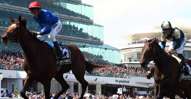 This year's Melbourne Cup is an open race - Kumar