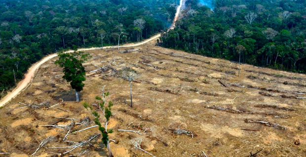 World's major industrialised nations close to agreement on tackling Amazon fires