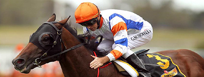 10 internationals to run in the Melbourne Cup