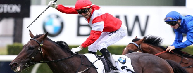 Mongolian Khan one of the top favourites for Melbourne Cup victory