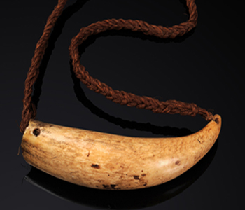 Labour, PDP and SODELPA want GCC back