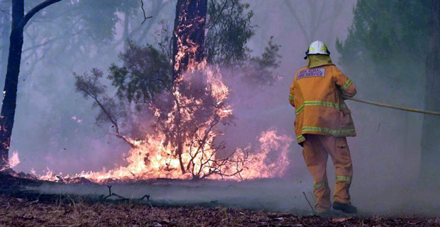  Catastrophic fire conditions almost completely razed an Australian community to the ground - Leader of New South Wales Berejiklian 