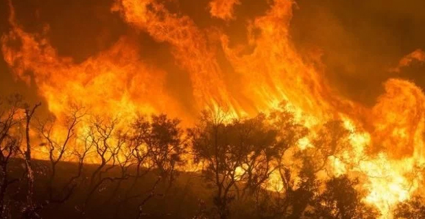 Brazilian President admits that they lack the resources to fight Amazon fires