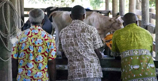 Farm gate price for raw milk gone up by 13 cents per litre