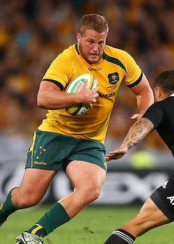 Wallabies not bothered by All Blacks streak