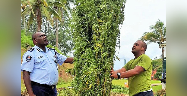 Four people to appear in Court today for drug-related charges