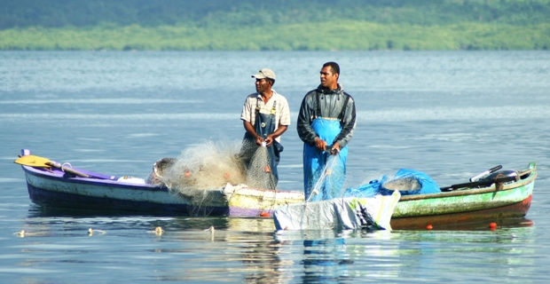 Ministry of Fisheries is not asking any fees for fishermen applying for licences - Koroilavesau