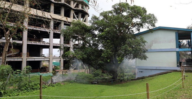 Stop Work Order still in place for WG Plaza following encroachment onto Holy Trinity Primary School