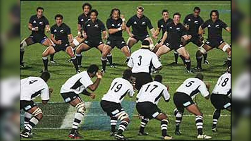 Fiji to host Ireland and play All Blacks next year
