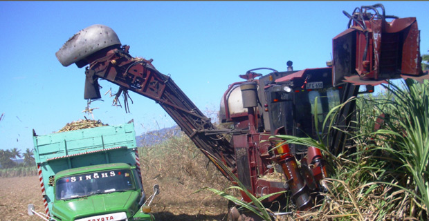 Over 1.8m tonnes of cane crushed this season