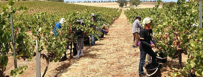 Number of workers sent overseas under Workers Scheme expected to increase 