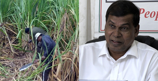 Cane farmers don't have money to prepare for start of the season - Prasad