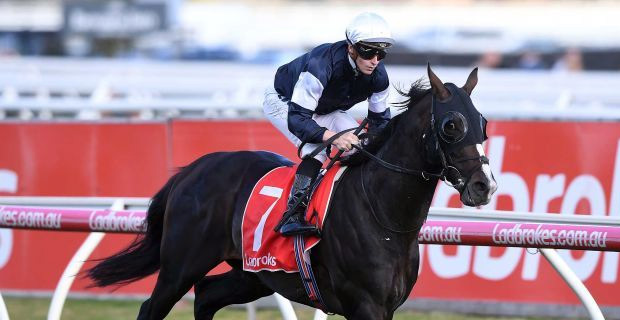 Yucatan dubbed as a very firm favourite for Lexus Melbourne Cup 