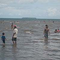 Families Plan Day Out