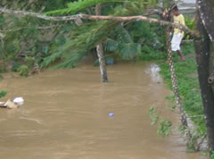 Medical Waste Dumped in the River