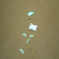 Medical Waste Dumped in the River