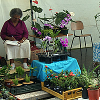Hobby becomes source of income  
