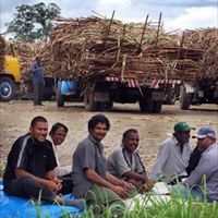 Good news for cane lorry drivers