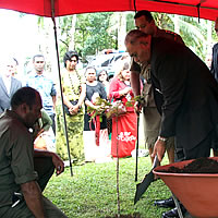 Plant More Trees Urges President
