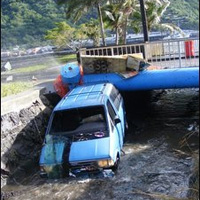 Tsunami brings tragic news for many