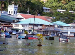 Tsunami brings tragic news for many